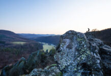 Pro fotografku Romanu Indrovou Semelkovou je cesta Křivoklátskem cestou domovem