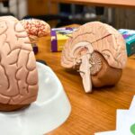 web_ne_pritel_mozek_narodni_tyden_trenovani_pameti